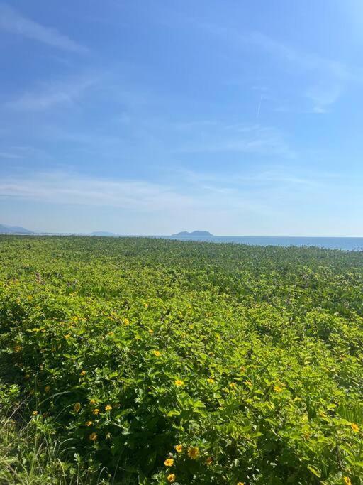 Apartamento Duplex Vista Mar No Sul Da Ilha Com Acesso Direto A Praia